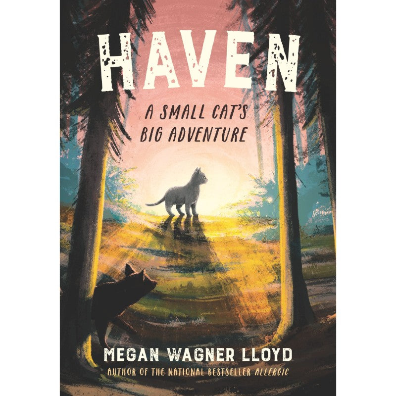 Haven: A Small Cat's Big Adventure, by Megan Wagner Lloyd