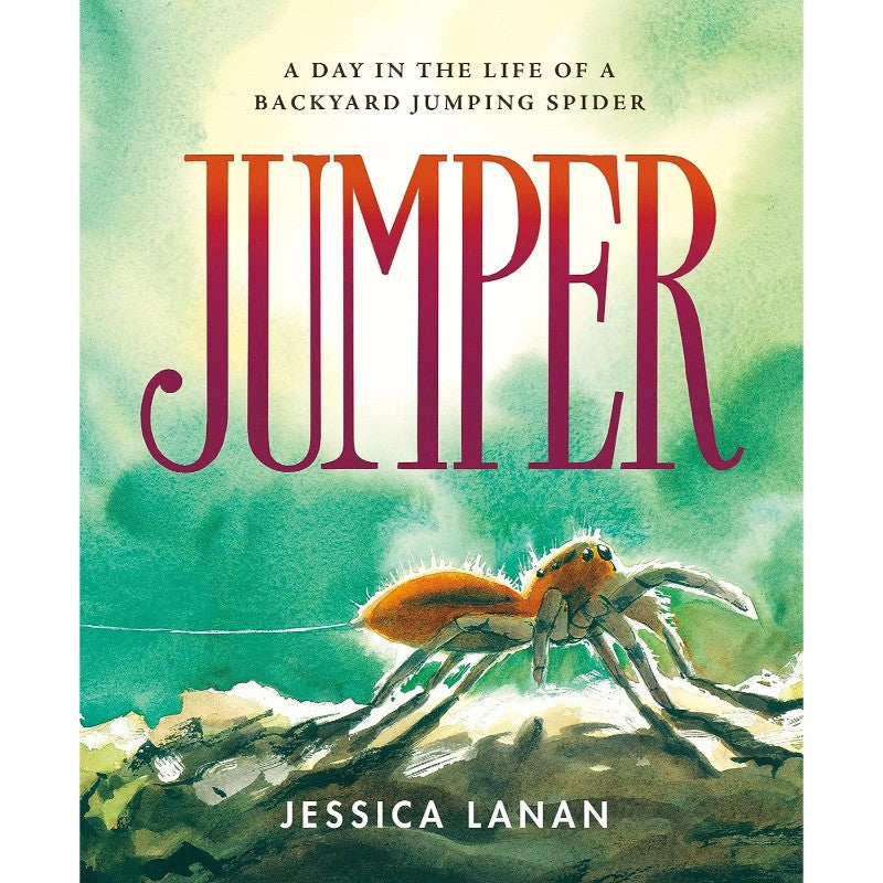 Jumper: A Day in the Life of a Backyard Jumping Spider, by Jessica Lanan
